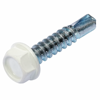 10T100TUX0Z/02WT 10-16 X 1 U/S HWH SDS ZINC PT.#02 WHITE